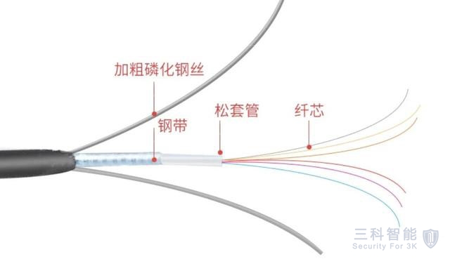 91免费黄色网站光纖